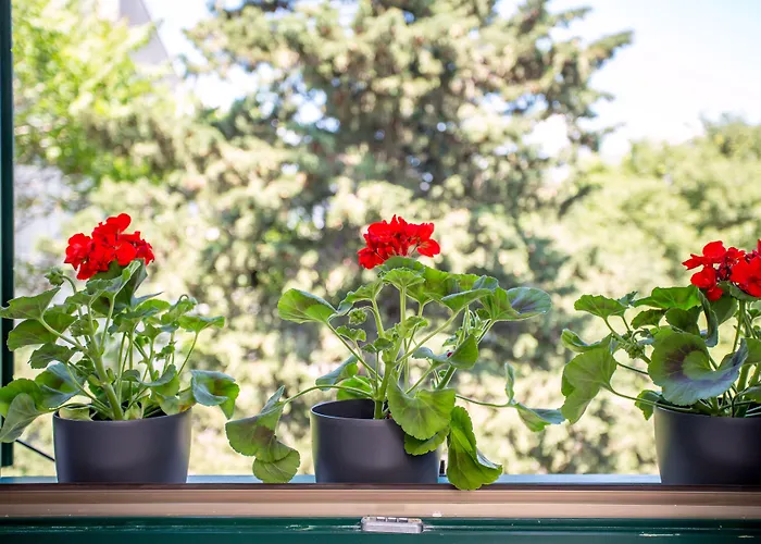 Korta Appartement Split