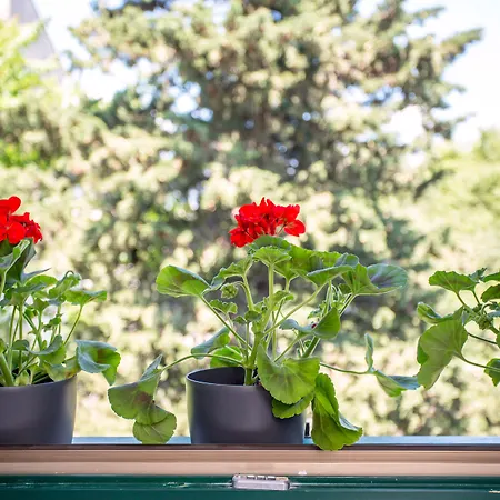 Korta Апартаменти Спліт